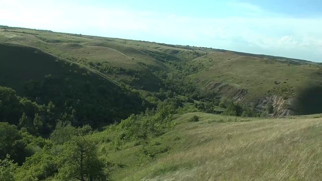 Природный парк «Щербаковский» смотреть онлайн