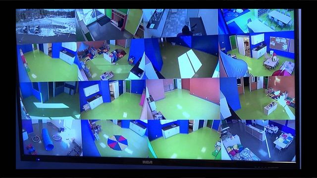 Liveview HD Cameras And Webcam Security System