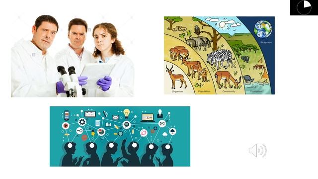 Dorothy Johnson: A Nursing Theory (Pecha Kucha Format) смотреть онлайн