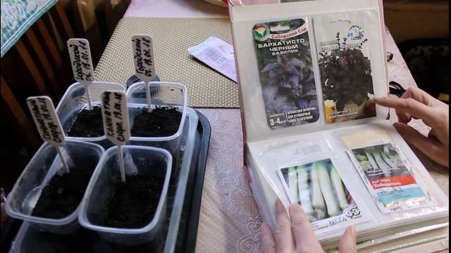 Обзор семян эксперемент смотреть онлайн