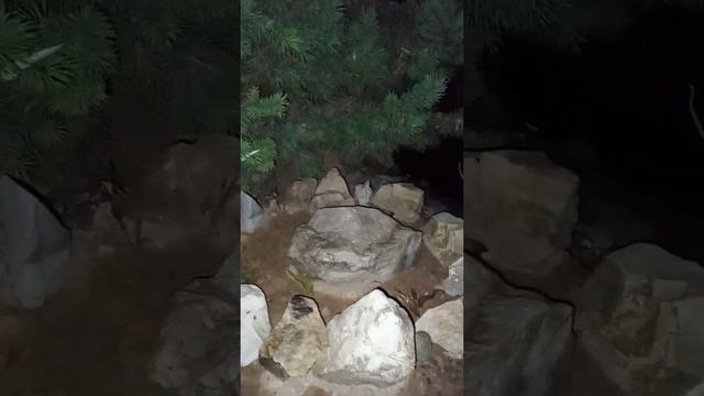 День осеннего равноденствия. смотреть онлайн