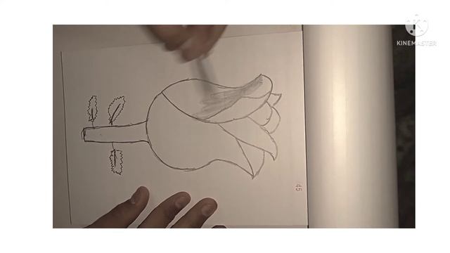easy sketch of rose # art business # video #art business # смотреть онлайн