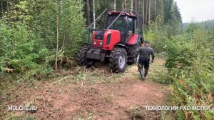 Трактор Беларус 2022В3 с лесным мульчером SERRAT FX+ T2000 расчистка под ЛЭП