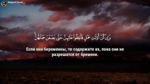 Омар Хишам Сура Ат Талак(Развод)القرآن الكريم