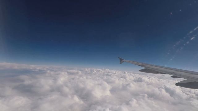 Full Flight | American Airlines A321 Dallas To Los Angeles