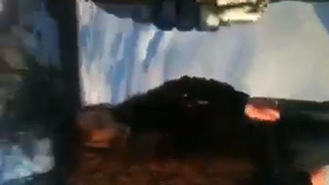 Лиза и Света смотреть онлайн