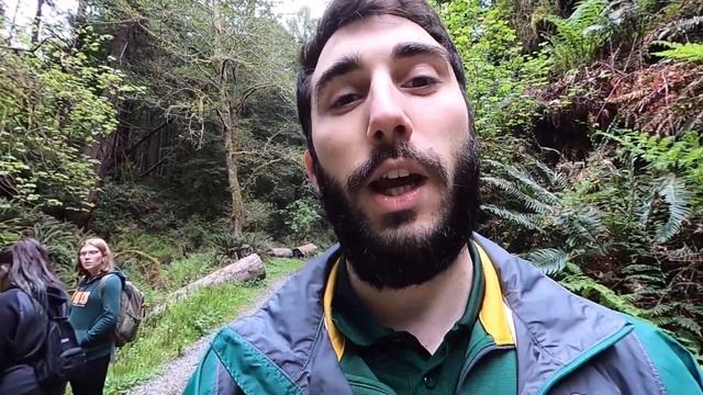 Humboldt State University: The Forest in Our Backyard смотреть онлайн