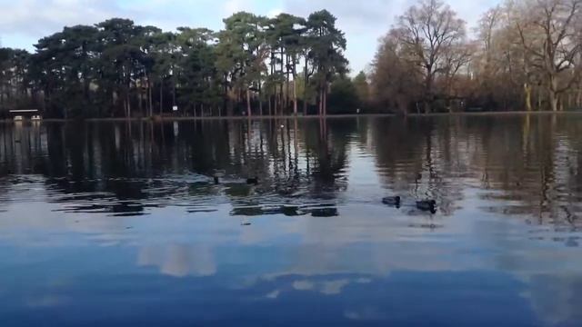 Пруд в Булонском лесу смотреть онлайн