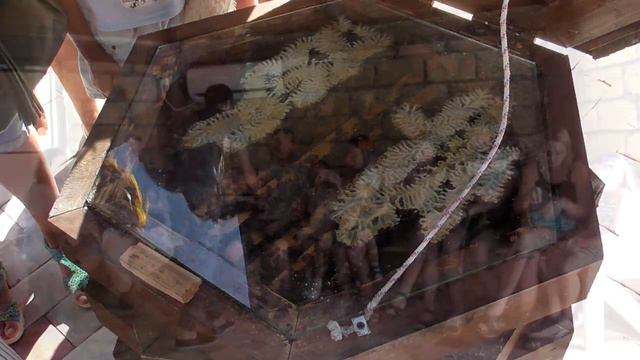 Абхазия Экскурсия часть 1 смотреть онлайн