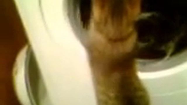 Прикольный режим "Ручная стирка" смотреть онлайн