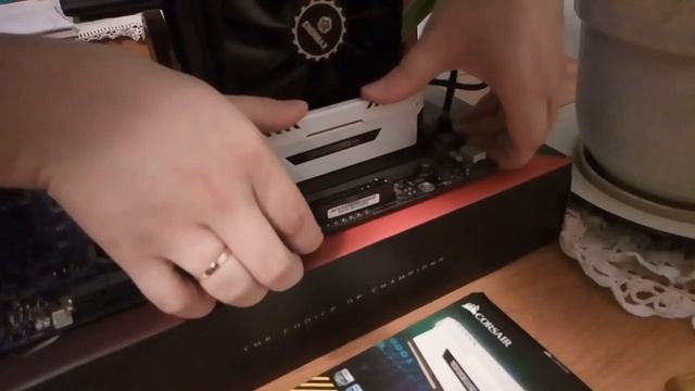 Как LX себе комп с Computeruniverse собирал смотреть онлайн