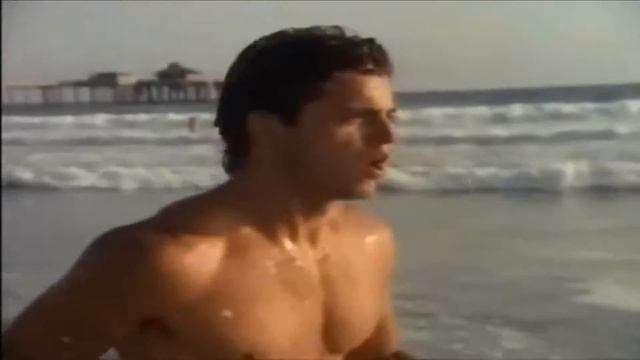 Baywatch with Dogs смотреть онлайн