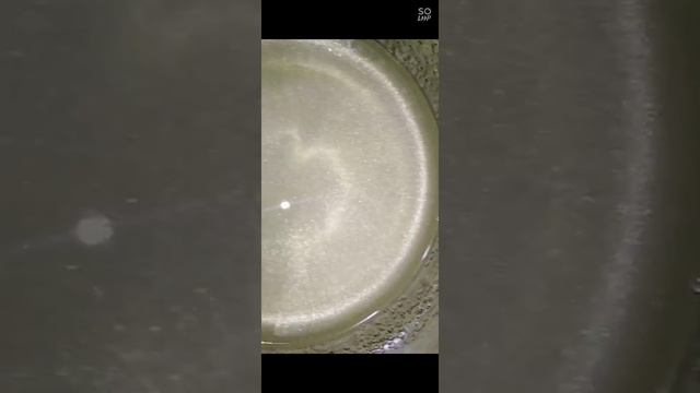 Трубочки с кремом белковым смотреть онлайн