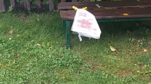 Что способна пробить пневматическая винтовка Hatsan Alpha