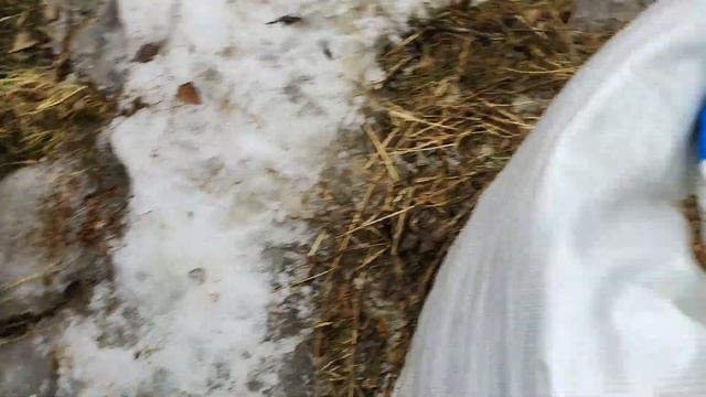 Дэу Нексия первый запуск за год смотреть онлайн