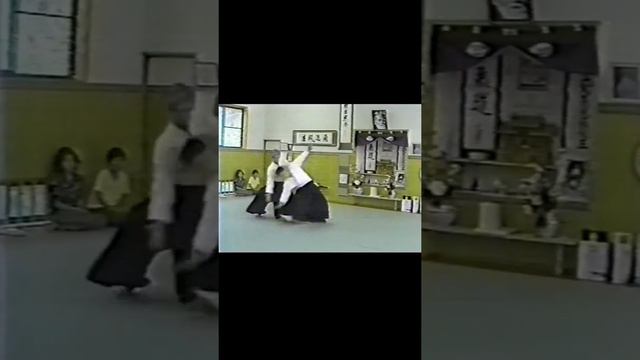 Ueshiba Moriteru Doshu / Kodenkan Ippaimori Dojo смотреть онлайн
