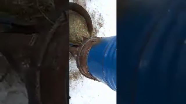 Сенодробилка 2 смотреть онлайн