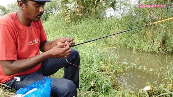 Fish Hunting ??Awesome Fish Hunting Cat Fish Catching Mancing fishing Baam fishing Village FISHING