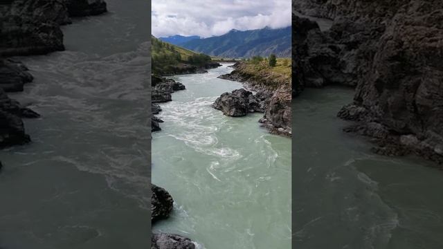 Какая глубина реки Катунь на Алтае? смотреть онлайн