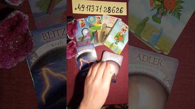 25.февраля.2022 года. Карта и Число Дня. смотреть онлайн