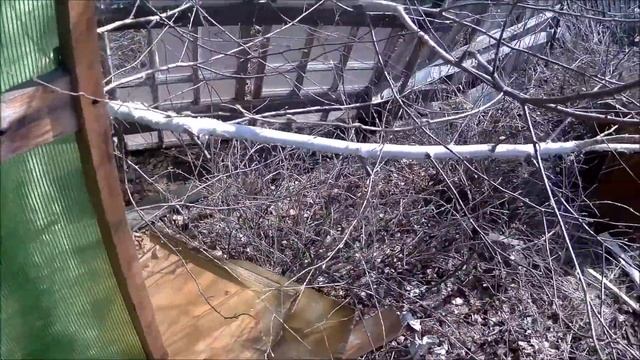 Движ по даче день 2 3 в соло, вывезли мусор, покрасил пол смотреть онлайн