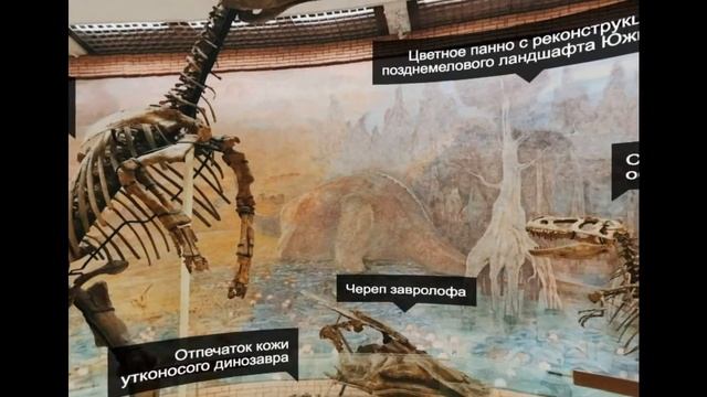 Палеонтологический музей в Москве смотреть онлайн