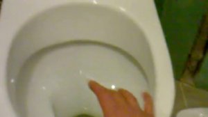 Обзор унитаза Damixa Redo Blue Origin one