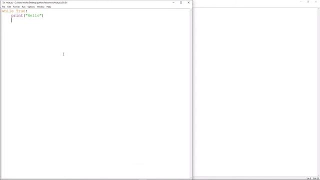 while loops | python basics смотреть онлайн
