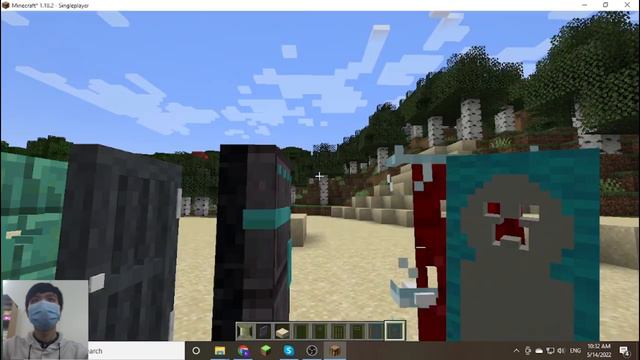 Domum Ornamentum [Forge] Mod 1.18.2 & How To Install For Minecraft