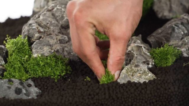 Mini Landschaft, Seiryu-Stein Mega einfaches Einrichtungsbeispiel für Dein Aquarium Hardscape смотреть онлайн