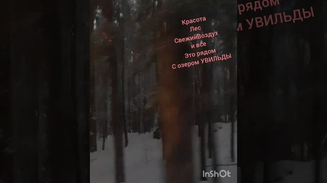 Красоты Челябинские.