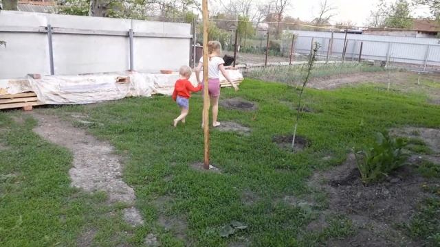 КАК ЦВЕТЁТ ГРЕЦКИЙ ОРЕХ ЗАКАЛЯЕМСЯ смотреть онлайн