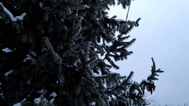 24 февраля-ДЕНЬ ВЛАСИЯ.Осталось 7 морозов.Не работайте в этот день.Народные приметы смотреть онлайн