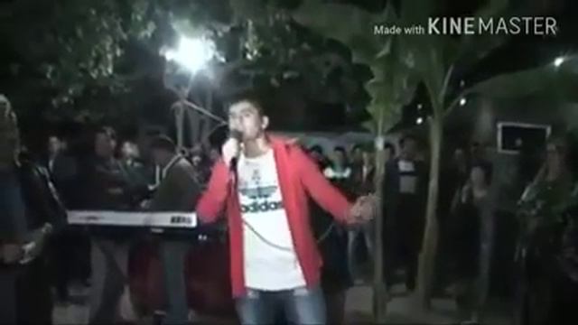 Туйбоб ажойиб шер