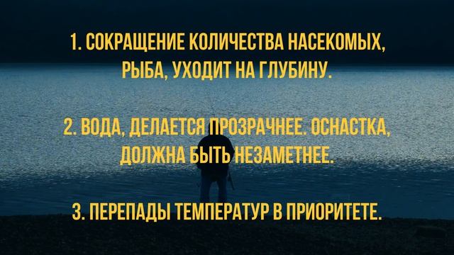 ПРОГНОЗ КЛЕВА НА СЕНТЯБРЬ 2022 : КАЛЕНДАРЬ РЫБАКА ? смотреть онлайн