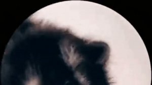 PEDRO (полная версия)