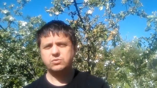 2019 05 19 Пранаяма очистительное дыхание смотреть онлайн