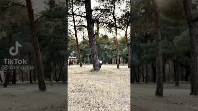 Cs95 سي اس ٩٥ смотреть онлайн