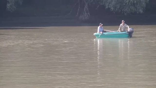 Кубань , ловля сома на квок. смотреть онлайн