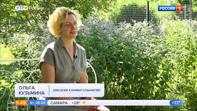 питомник кламбер спаниелей Белые Вулканы Калининград смотреть онлайн