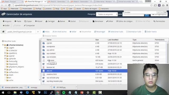 Aumentando o Limite de Upload (midias, temas plug-ins) no WordPress смотреть онлайн