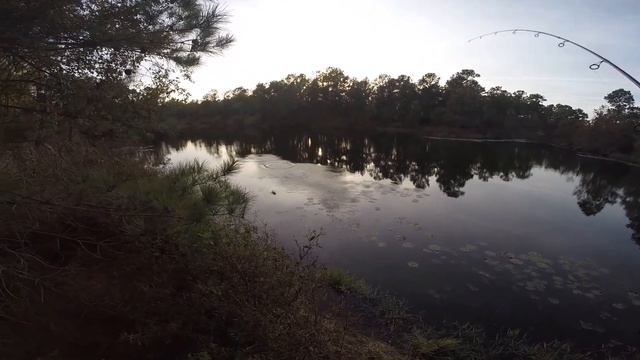 Pond fishing with 3 inch Gulp minnow смотреть онлайн