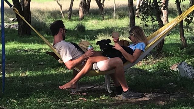 Week 19, 20, 21, 22 Australia Road Trip!! Puppies!! Python!! Party!! смотреть онлайн