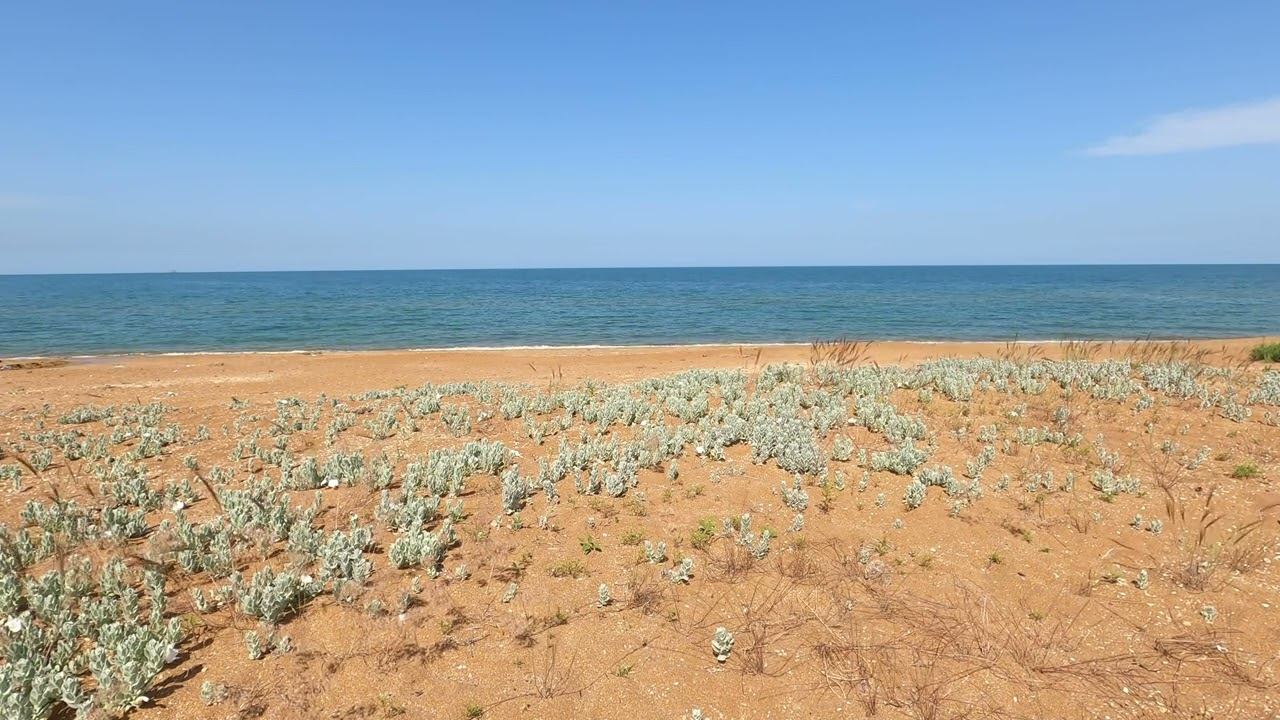 Serene Sleep On The Seashore, The Sound Of Waves And Birdsong