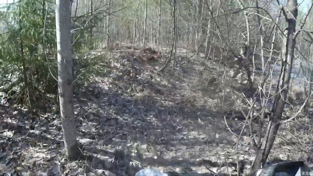 металлоискатель за 2500р/MD4030 окупился сразу/первый трофей еле дотащили до прицепа/деньги в земле смотреть онлайн