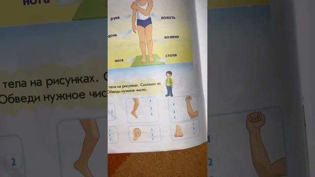 Естествознание смотреть онлайн