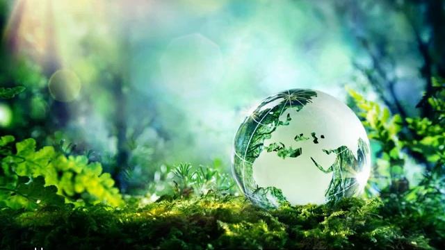 Штраф за ландыши смотреть онлайн