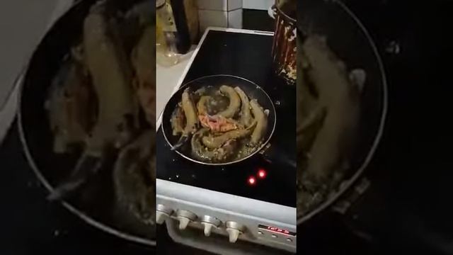 Как угорь на сковородке смотреть онлайн