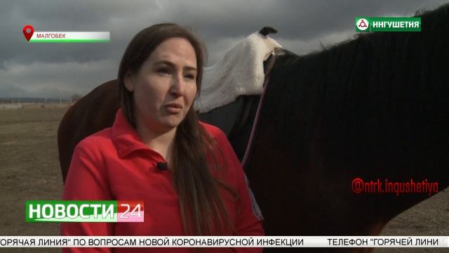 Секреты коневодства. смотреть онлайн