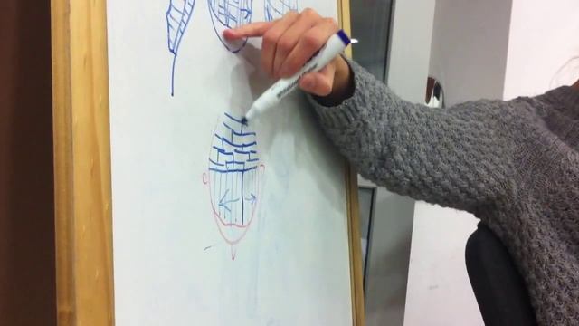 Теория. Виды накрутки при химической завивке. смотреть онлайн